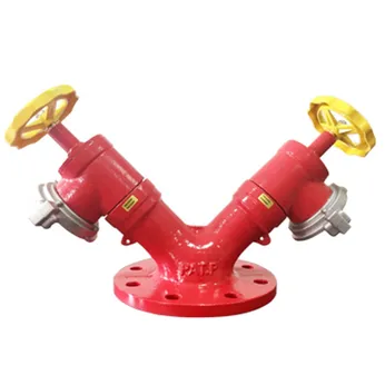 Đầu trụ chữa cháy 2DN65xDN100 TMK-265-001