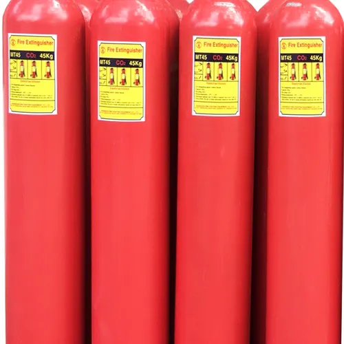 Bình chữa cháy khí CO2 24kg MT24