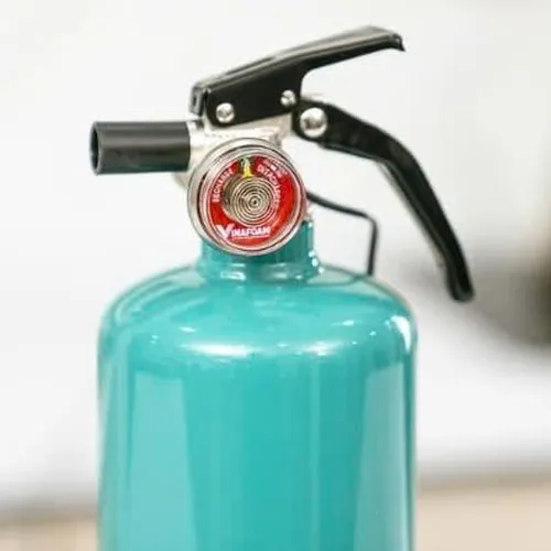Bình chữa cháy Vinafoam (Home) dành cho nhà bếp 950ML