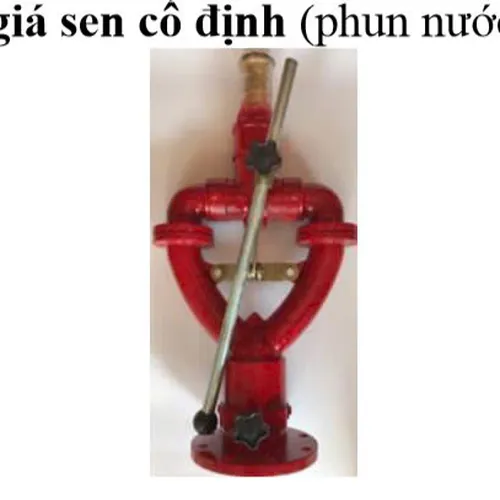 Lăng giá sen cố định (phun nước)