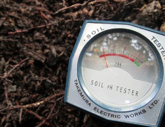 Thuốc đặc trị Vàng lá thối rễ