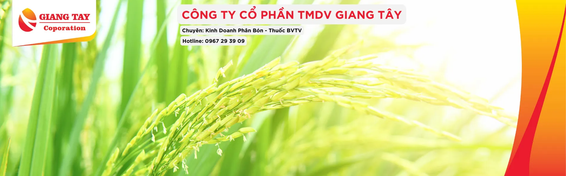 Phân Thuốc Chuyên Dùng Trên Lúa