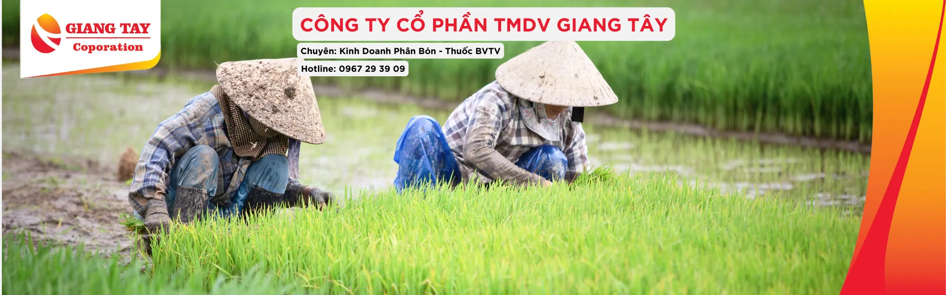Phân Thuốc Chuyên Dùng Dưa Hấu
