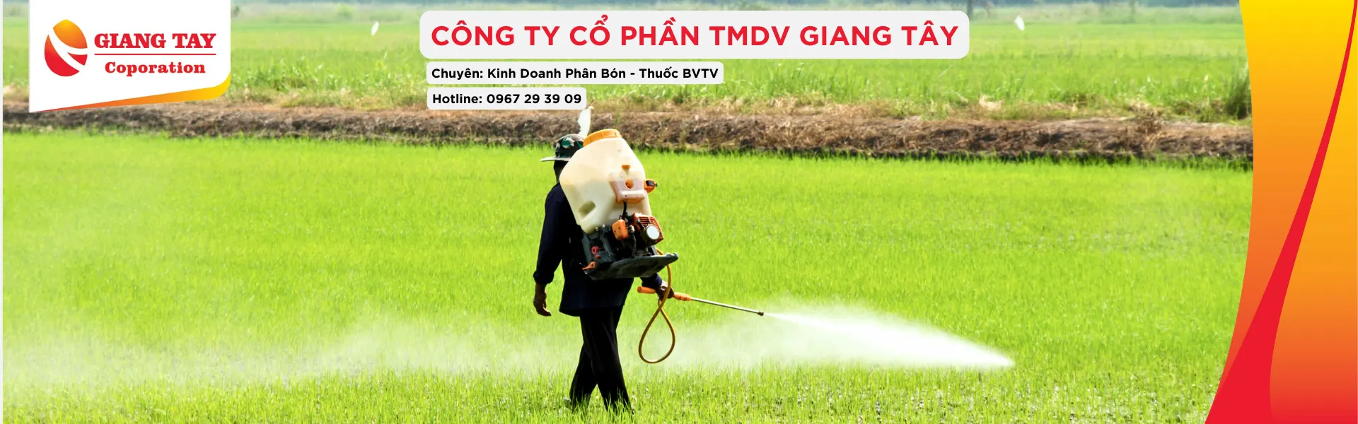 Phân Thuốc Chuyên Dùng Cho Cam, Chanh