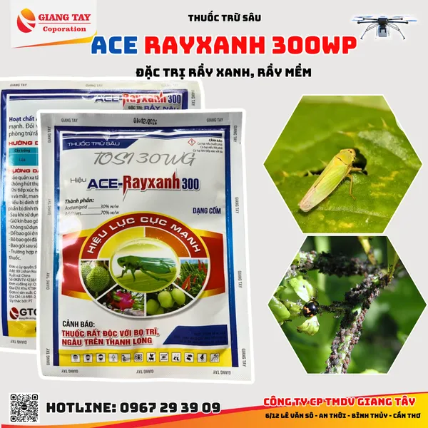 Thuốc đặc trị rầy xanh - ACE Rayxanh 300WG