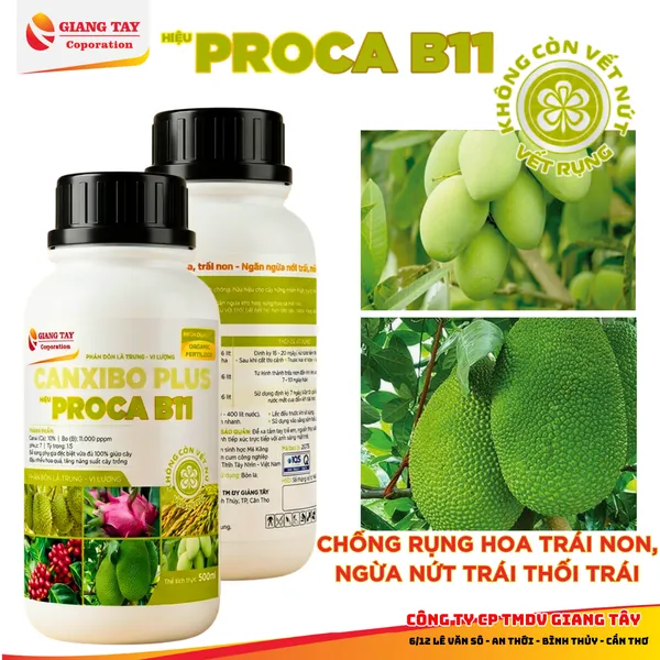 Phân bón lá CanxiBo Plus Proca B11