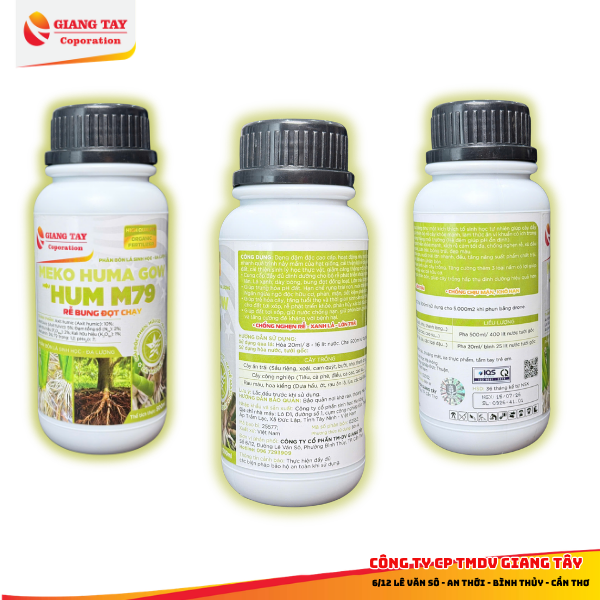 Thuốc kích rễ HUM M79| Dùng kích ra rễ cây con, chiết cành, bứng duy dời cây - Rễ ra khoẻ, to mập