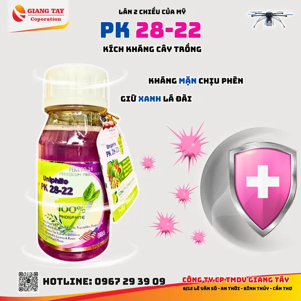 Lân 2 chiều PK 29-26 - Nhập Khẩu Mỹ