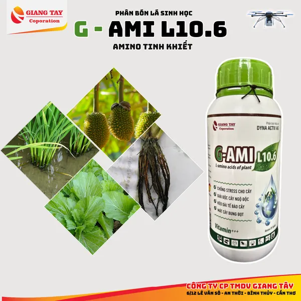 Amino Tây Ban Nha G-AMI L10.6