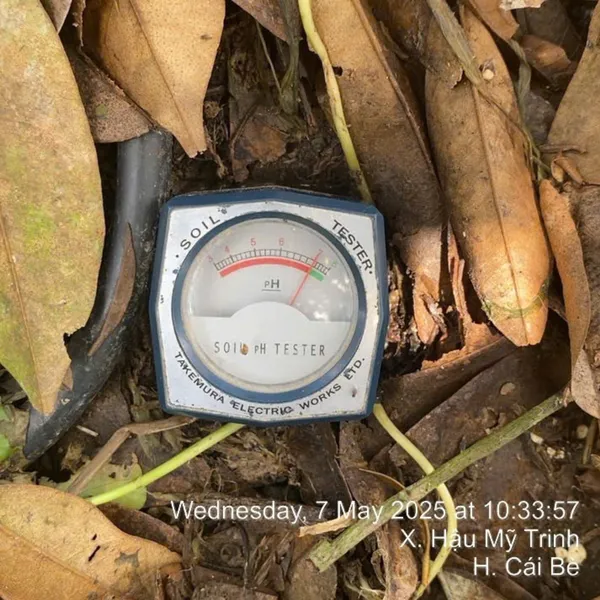 Chế Phẩm nâng pH Đất - Boost Extra