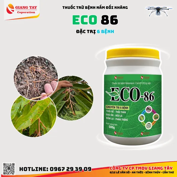 Thuốc đặc trị 6 bệnh - vi sinh ECO 86