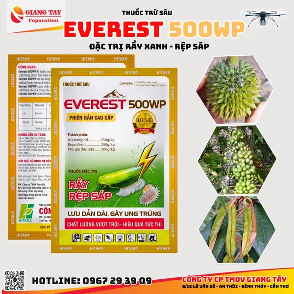 Thuốc Đặc Trị Rầy Xanh Everest 500WP
