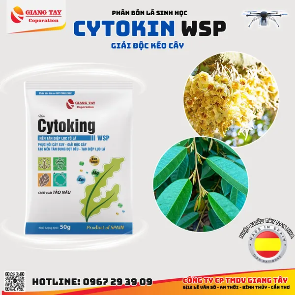 Phân Bón Lá Sinh Học  Cytoking WSP - Nhập Khẩu Tây Ban Nha