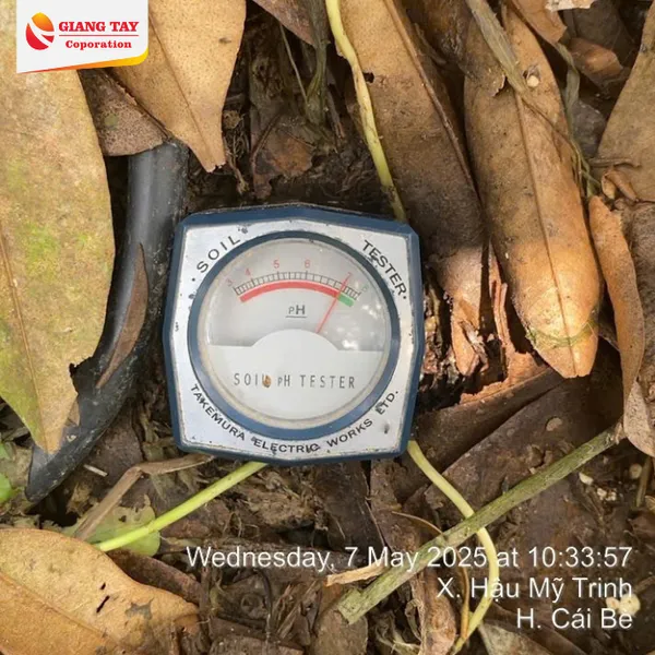 Máy Đo pH - Độ Ẩm Đất DM15 Japan