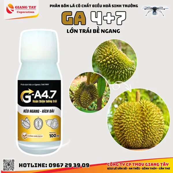 Thuốc Điều Hòa Sinh Trưởng GA4 + 7  100ml (dạng lỏng)