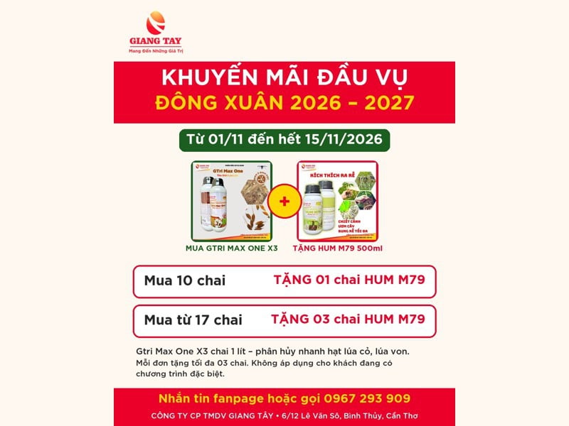 KHUYẾN MÃI ĐÔNG XUÂN 2026–2027: MUA GTRI MAX ONE X3 TẶNG HUM M79