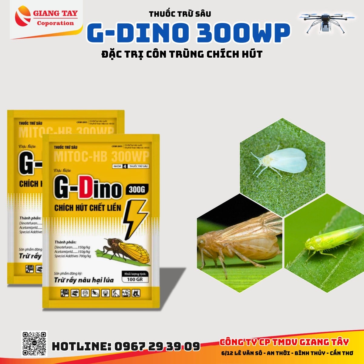 Thuốc G-Dino đặc trị rầy phấn trắng hại lúa của Giang Tây