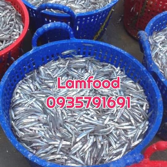 CHUYÊN TƯ VẤN KINH DOANH - TẠO DỰNG THƯƠNG HIỆU NƯỚC MẮM TRUYỀN THỐNG CHUYÊN TƯ VẤN KINH DOANH - TẠO DỰNG THƯƠNG HIỆU NƯỚC MẮM TRUYỀN THỐNG