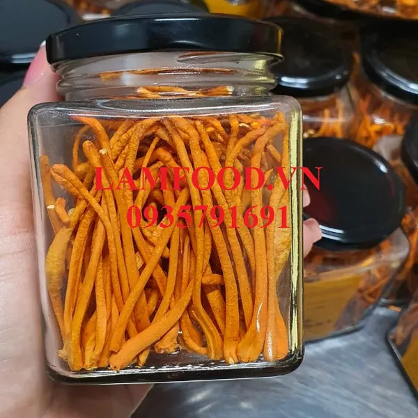 Nấm Đông trùng hạ thảo sấy khô thăng hoa 10g