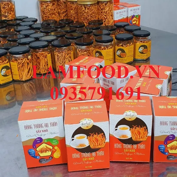 Nấm Đông trùng hạ thảo sấy khô thăng hoa