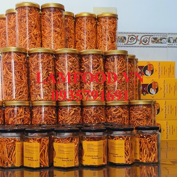 Nấm Đông trùng hạ thảo sấy khô thăng hoa 50g