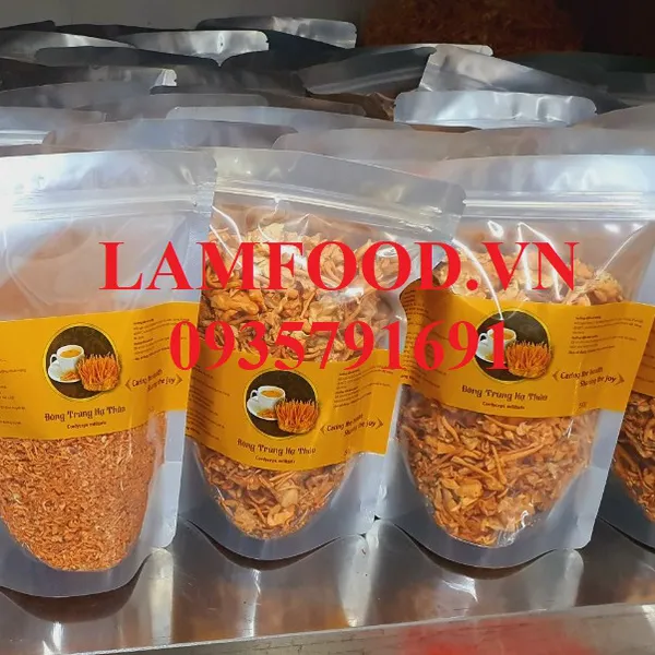 Nấm Đông trùng hạ thảo sấy khô thăng hoa