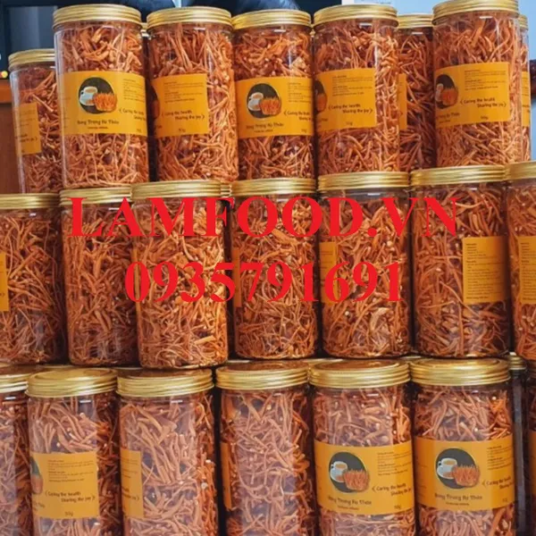 Nấm Đông trùng hạ thảo sấy khô thăng hoa