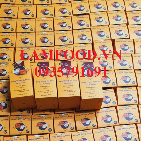 Nấm Đông trùng hạ thảo sấy khô thăng hoa 50g