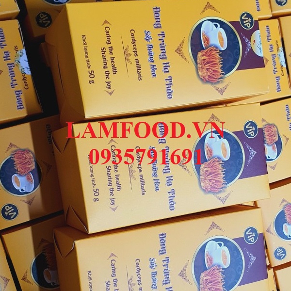 Nấm Đông trùng hạ thảo sấy khô thăng hoa 50g