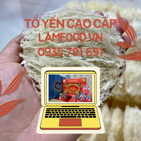 Giỏ quà tặng Tổ yến sào TẾT QUÝ MÃO 2023