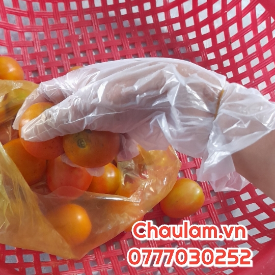 Nhà cung cấp bao tay xốp trắng giá rẻ giao hàng toàn quốc Nhà cung cấp bao tay xốp trắng giá rẻ giao hàng toàn quốc