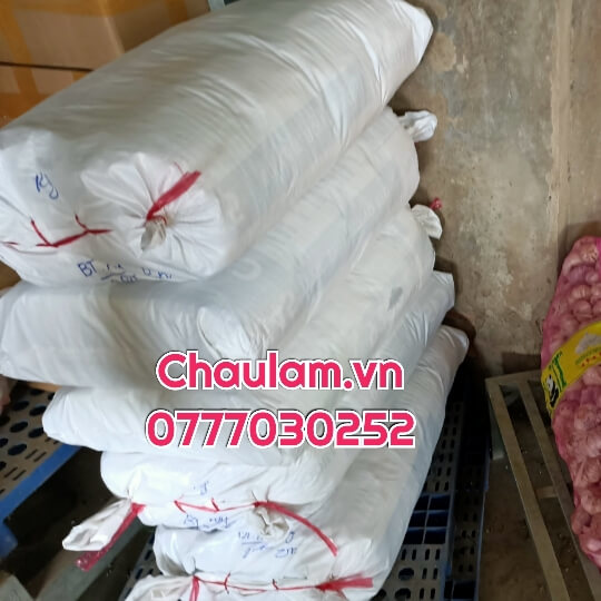 Bao tay xốp bán sỉ tại TP.HCM Bao tay xốp bán sỉ tại TP.HCM