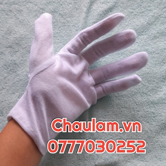 Bao tay vải PE giá tốt tháng 3/2022 Bao tay vải PE giá tốt tháng 3/2022