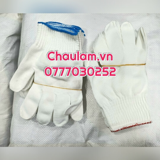 Nhà phân phối găng tay len kem trắng giá rẻ tháng 3 Nhà phân phối găng tay len kem trắng giá rẻ tháng 3