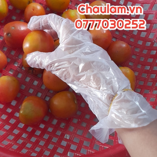 Xưởng sản xuất bao tay xốp giá rẻ tại Tp.HCM Xưởng sản xuất bao tay xốp giá rẻ tại Tp.HCM