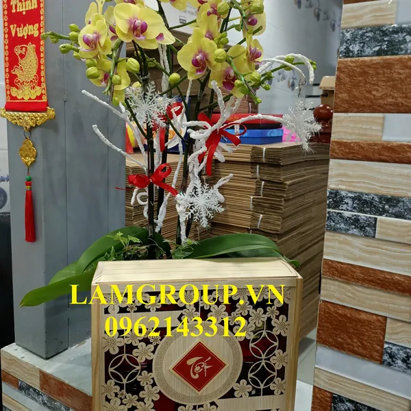 Hộp quà tặng Nước yến sào Đông trùng thảo Lamgroup TẾT ĐOÀN VIÊN