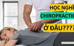 Quy trình đào tạo để trở thành một Chuyên gia nắn chỉnh xương khớp