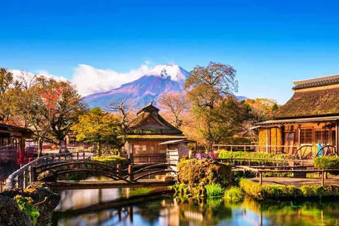 Tour Chiba - Phú Sĩ - Tokyo: Biểu diễn cá voi sát thủ