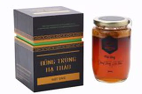 ĐÔNG TRÙNG HẠ THẢO MẬT ONG