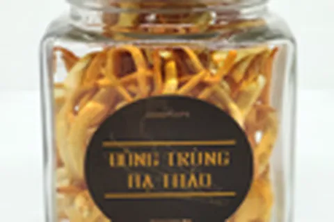 ĐÔNG TRÙNG HẠ THẢO PHƯƠNG NAM - SẤY KHÔ 15 GRAM