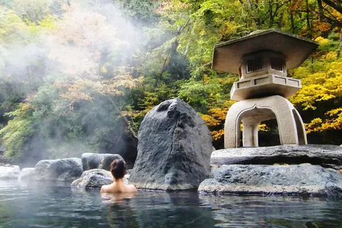 Tour Chiba - Phú Sĩ - Tokyo: Biểu diễn cá voi sát thủ