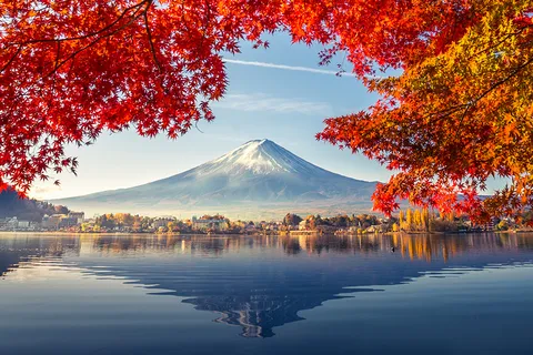 Tour Chiba - Phú Sĩ - Tokyo: Biểu diễn cá voi sát thủ