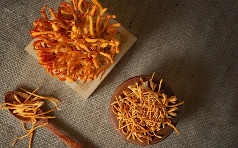 Nước uống đông trùng hạ thảo là gì? Tác dụng của nước uống đông trùng hạ thảo