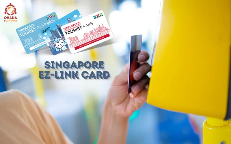 Hướng dẫn sử dụng thẻ ezlink và những tiện ích tại Singapore.