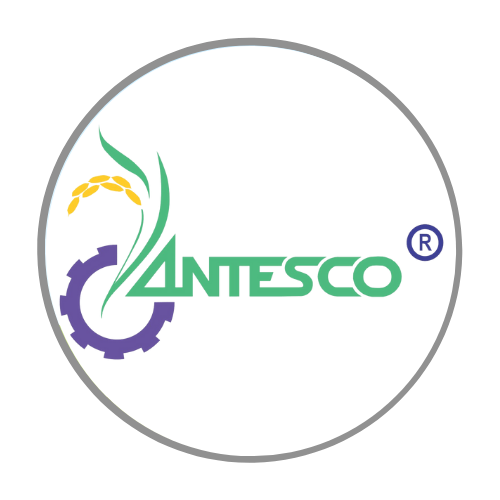 Antesco