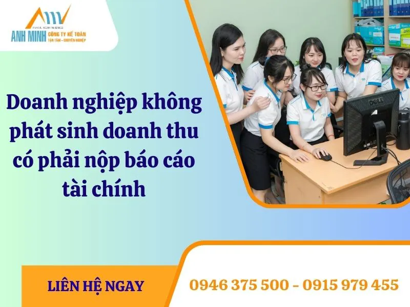 Doanh nghiệp không phát sinh doanh thu có phải nộp báo cáo tài chính 2024?