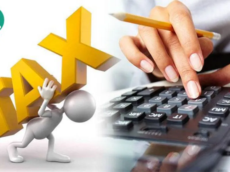 Dịch vụ báo cáo thuế Nha Trang mang lại【LỢI ÍCH】gì cho Doanh Nghiệp?