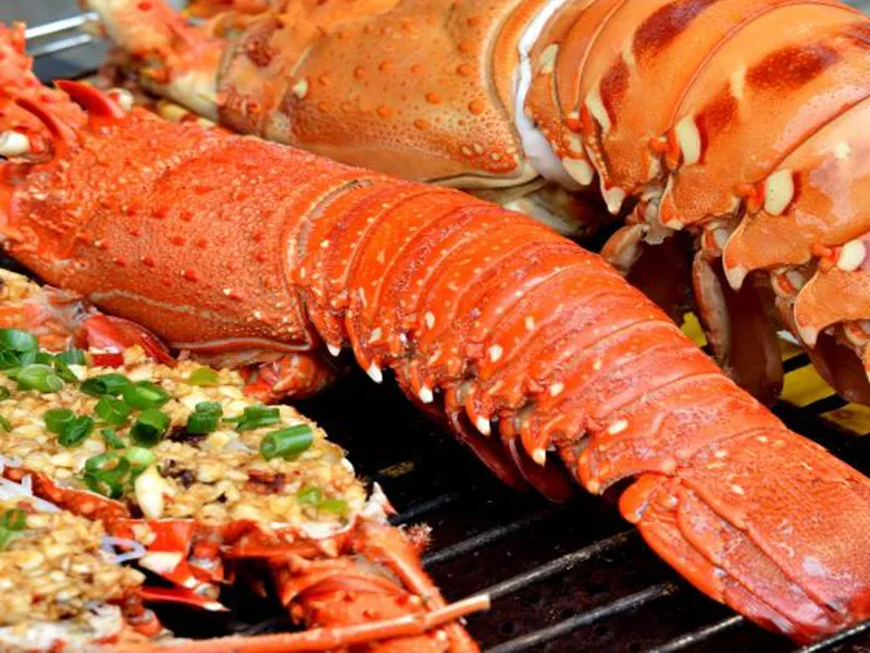 Thành lập công ty nhà hàng tại Khánh Hòa uy tín