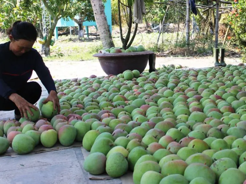 【Dịch vụ 】Thành lập công ty thương mại tại Cam Lâm