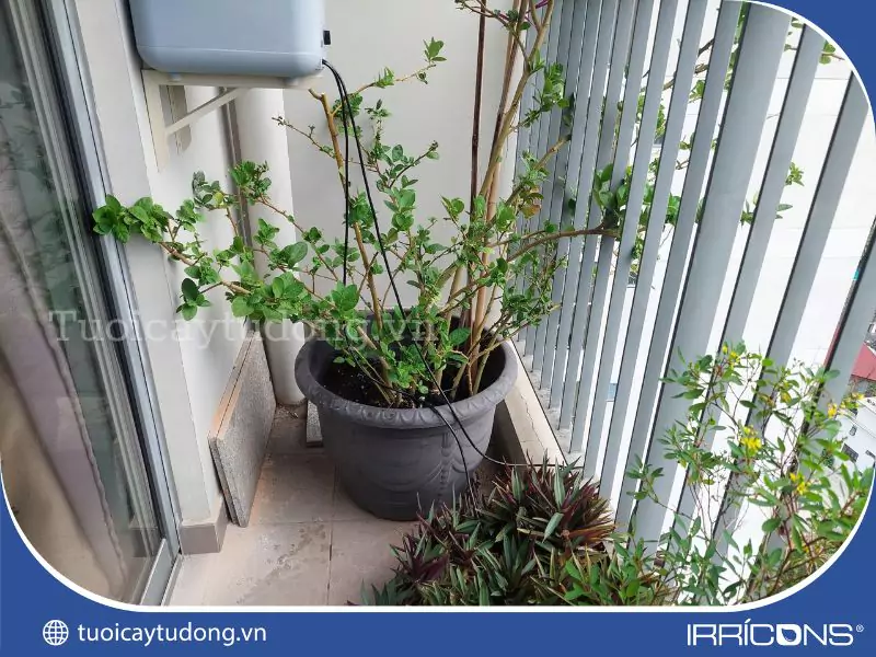 Một góc tại ban công nhà khách Một góc tại ban công nhà khách